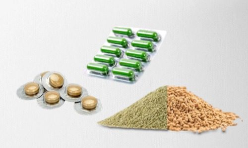 片劑、粉劑、顆粒劑、膠囊食品代加工