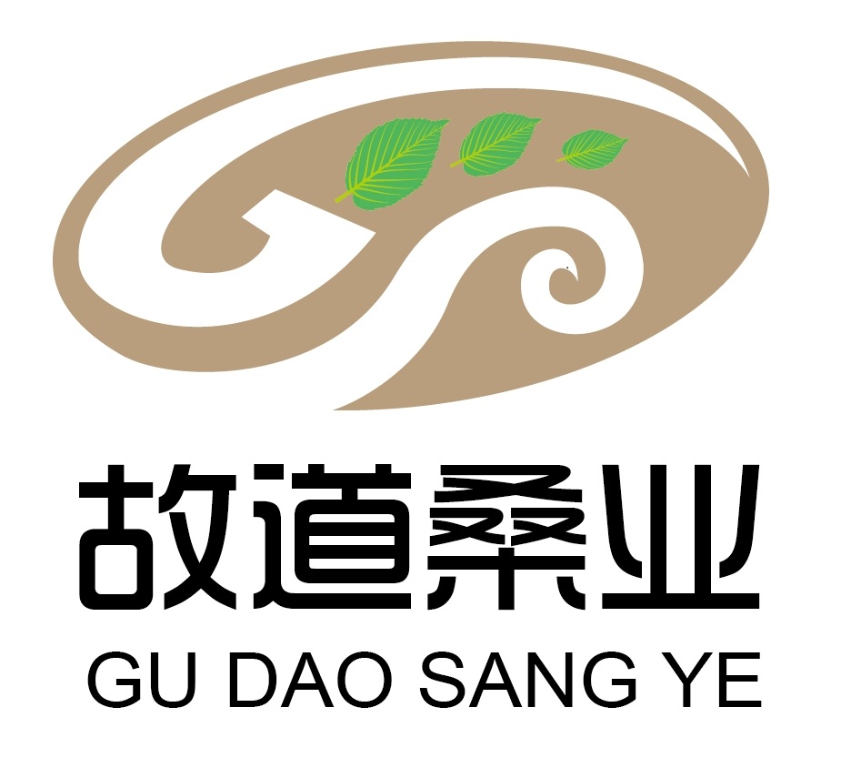 喝茶就可以防脫生發(fā)，太神奇了！桑葉養(yǎng)生茶