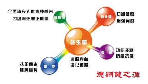腸胃功能差，益生菌就可以解決一切