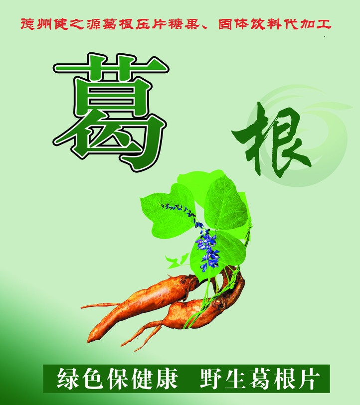 葛根，男女通用的人體調(diào)理專家