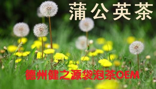 蒲公英茶，今天您喝了嗎？
